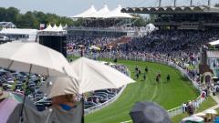 Goodwood racecourse 
